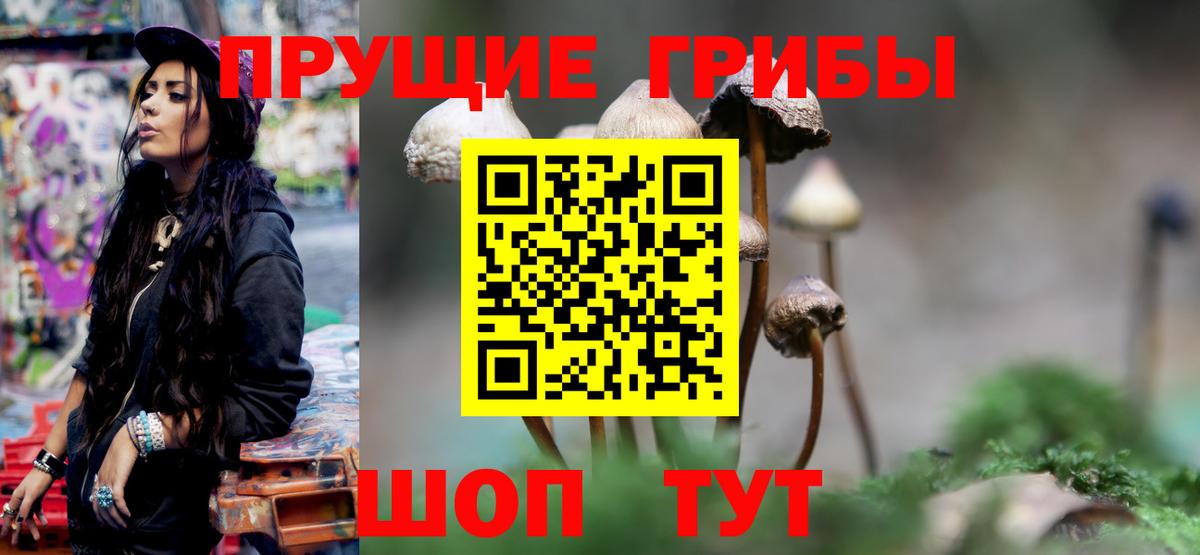 Псилоцибиновые грибы Psilocybe  Вход с VPN  Кропоткин 